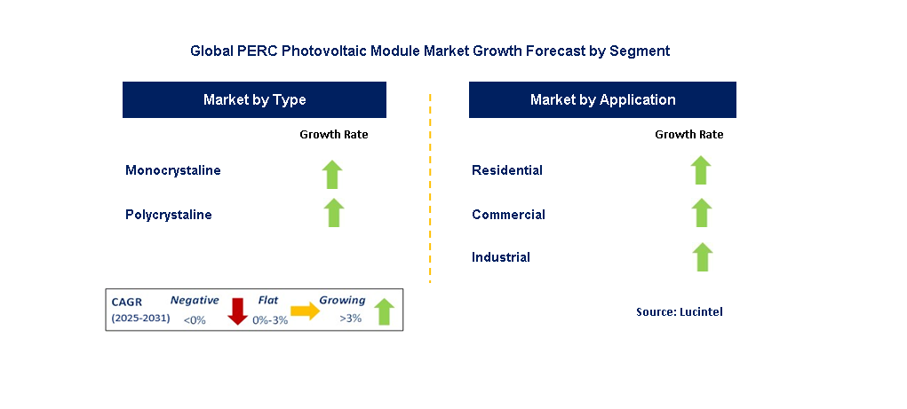 PERC Photovoltaic Module Market by Segment